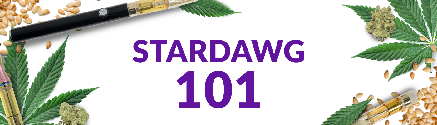 Stardawg 101