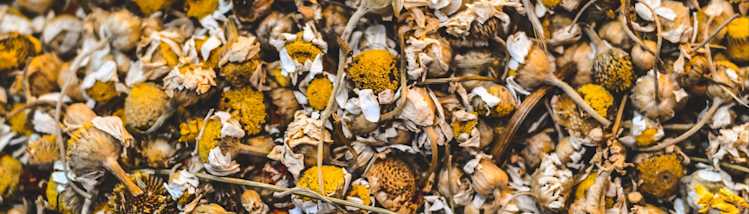 chamomile tea