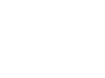 Savvy Logo