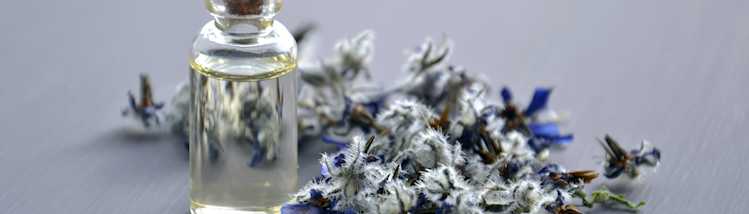lavender tincture