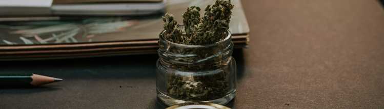 Cannabis Asset (jar)