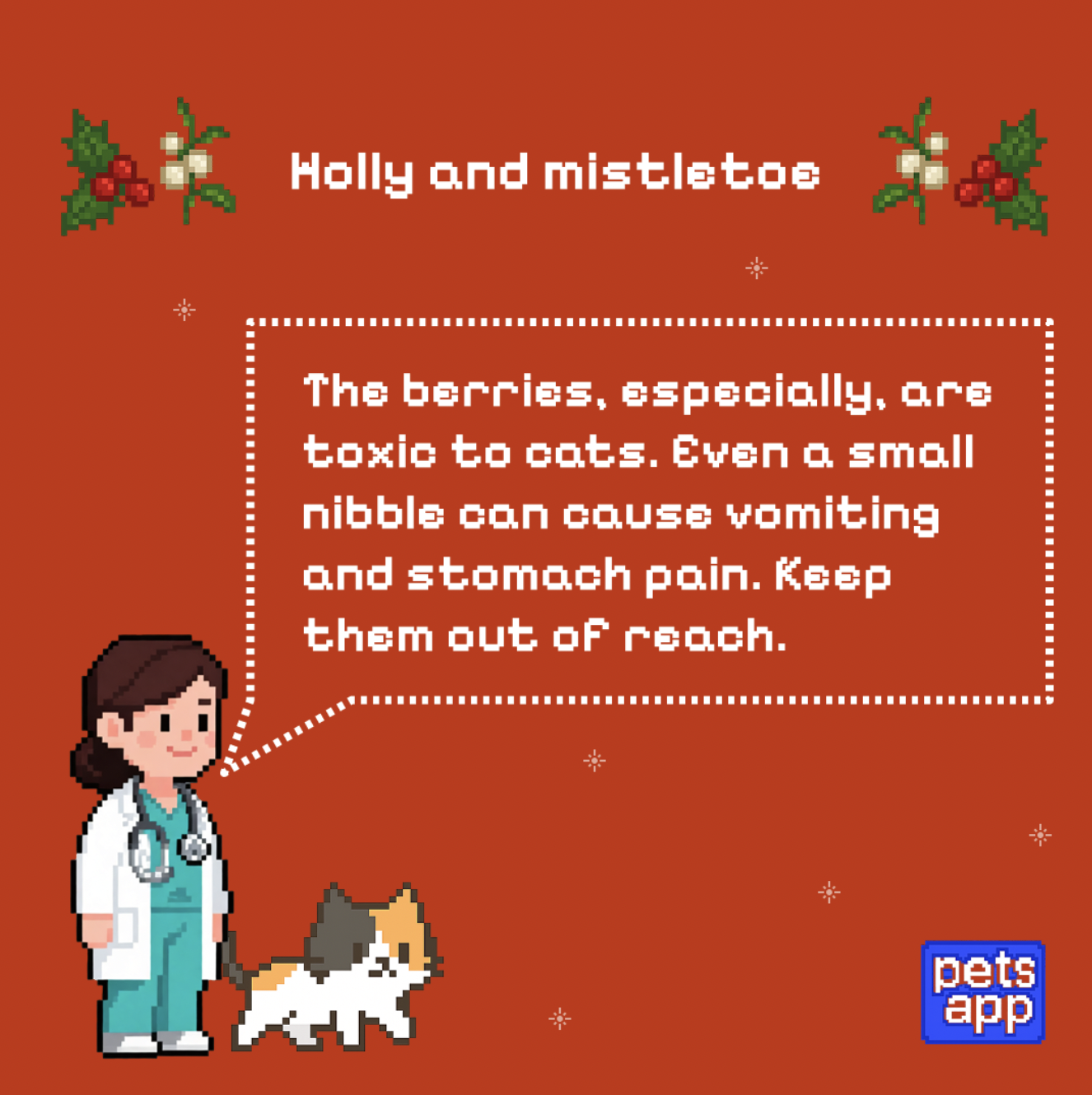 Mistletoe is toxic to pets
