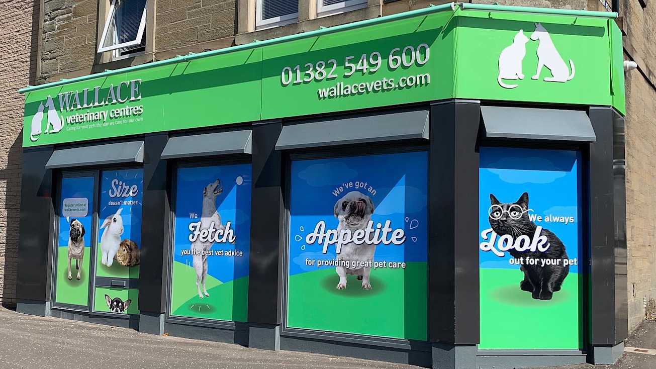 How Wallace Vets Claimed Back 9 Hours A Week With PetsApp Case Study