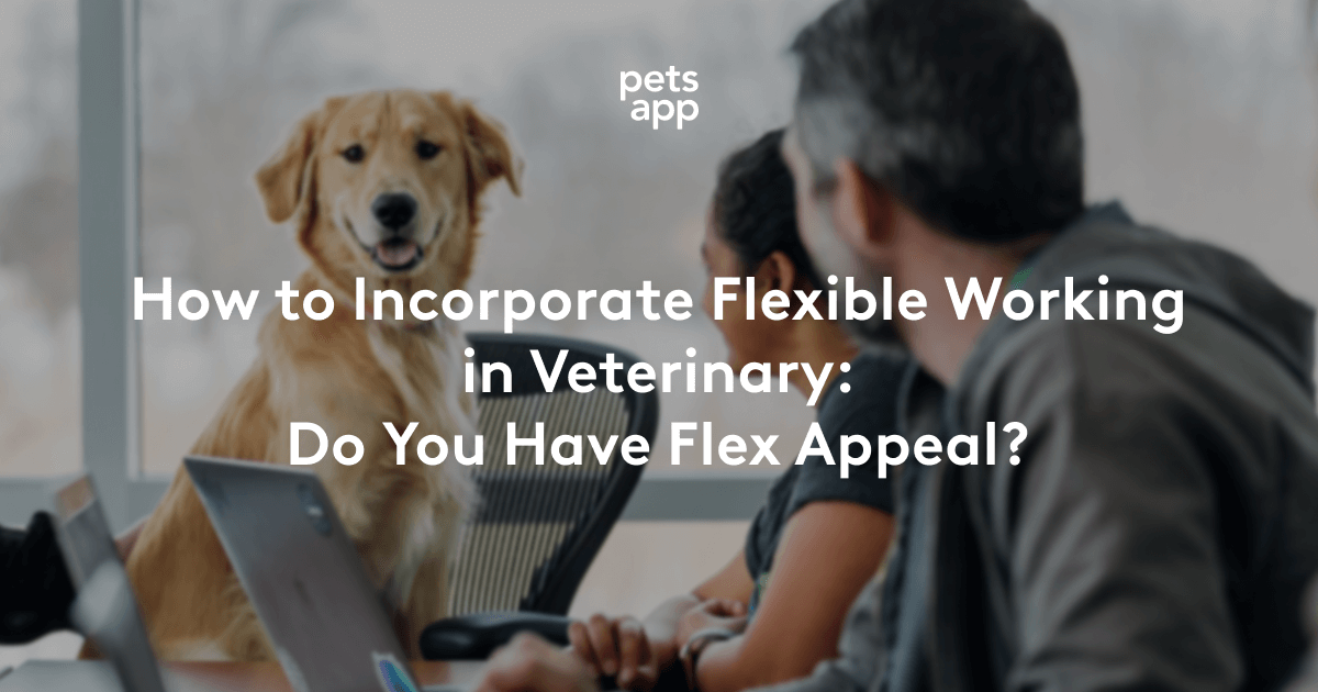 How to Incorporate Flexible Working in Veterinary Do You Have Flex