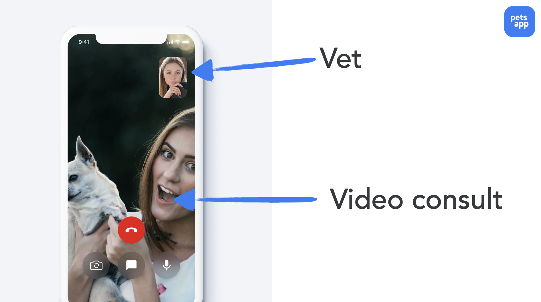 vet video consults