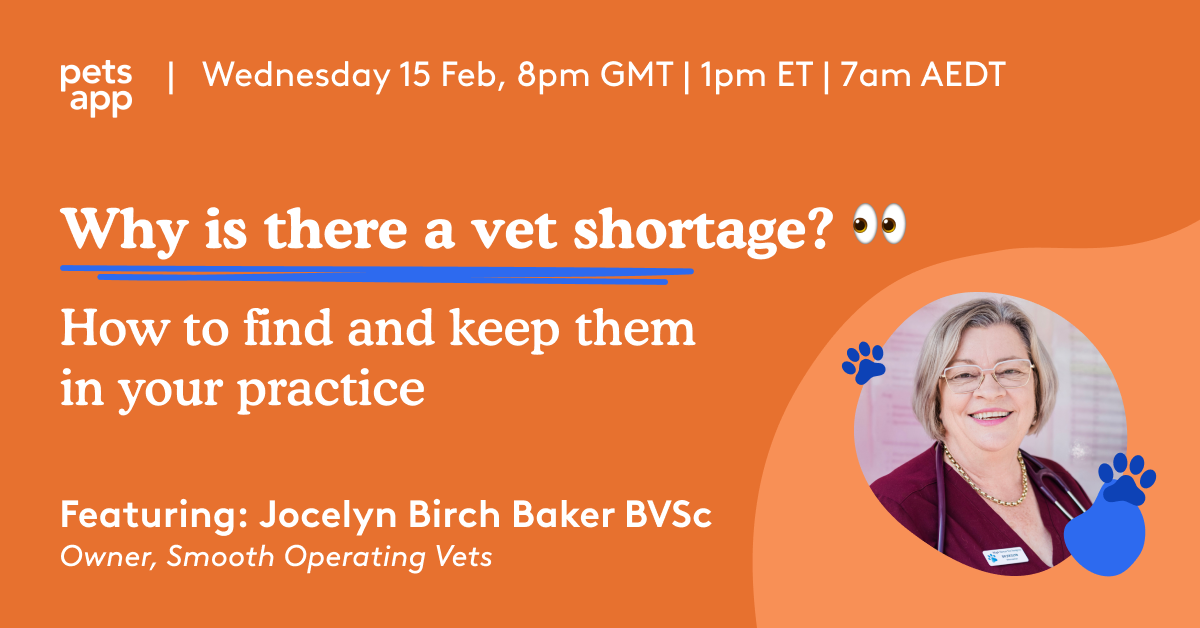 Why is there a vet shortage How to find and keep them in your