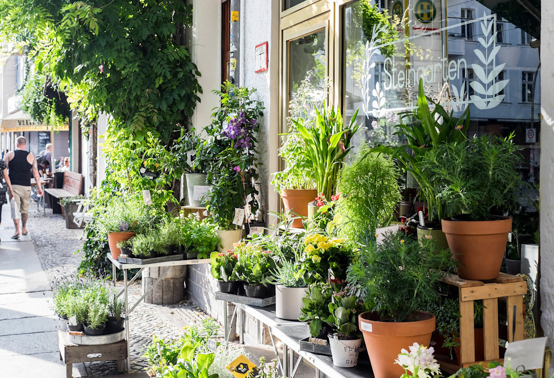 Neighbourhood Profile Kreuzkolln