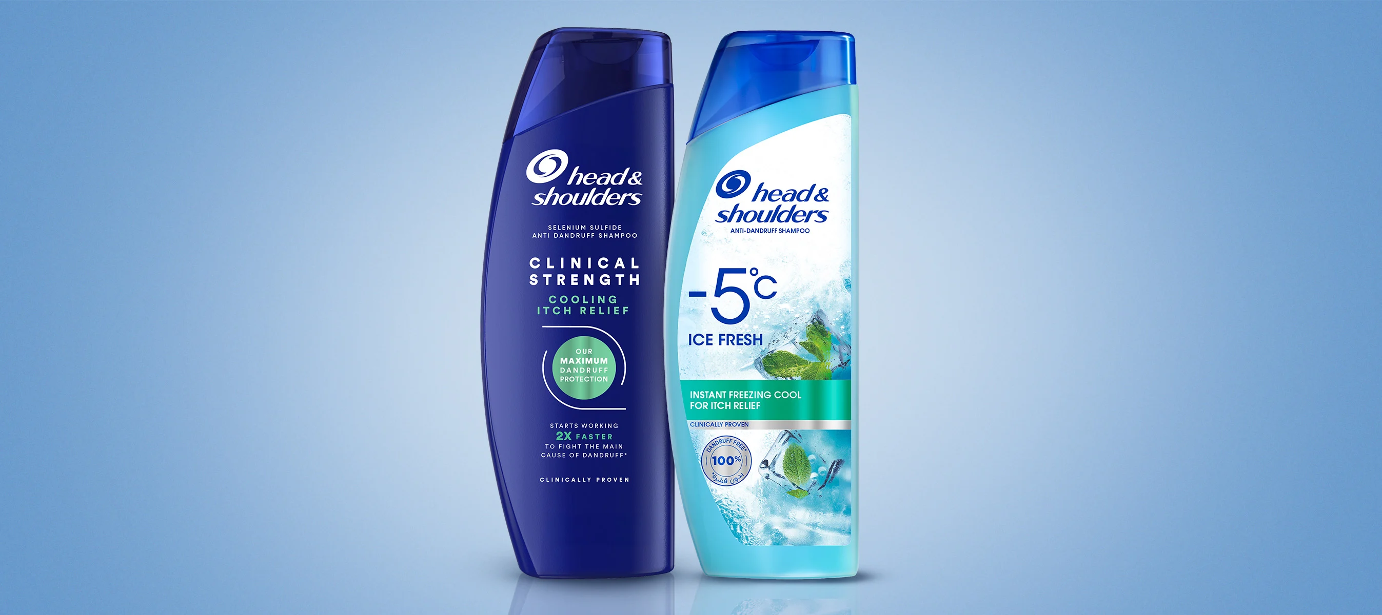 scalp care ingredients for dandruff scalp care ingredients for dandruff
