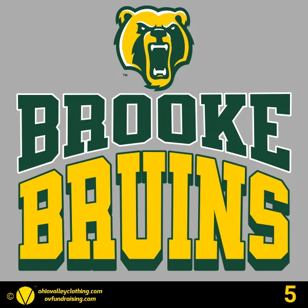 Wellsburg Youth Baseball 2025 Design 05