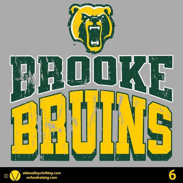 Wellsburg Youth Baseball 2025 Design 06