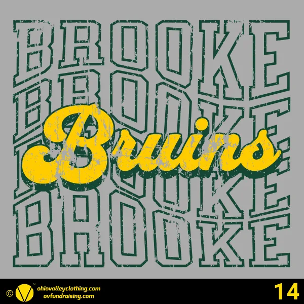 Wellsburg Youth Baseball 2025 Design 14