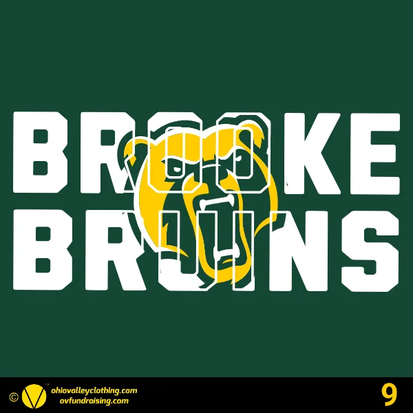 Wellsburg Youth Baseball 2025 Design 09