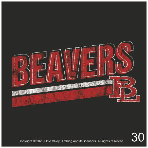 Beaver Local Girls Tennis 2023 Sample Design Page 30