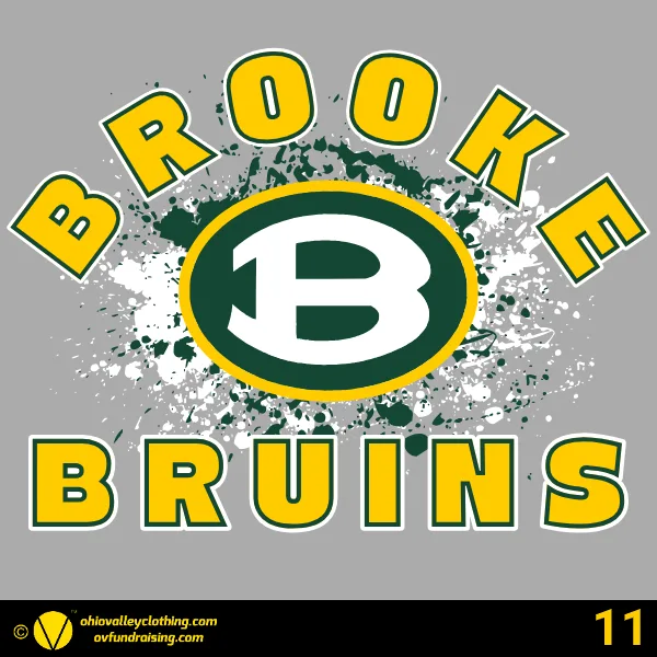 Wellsburg Youth Baseball 2025 Design 11