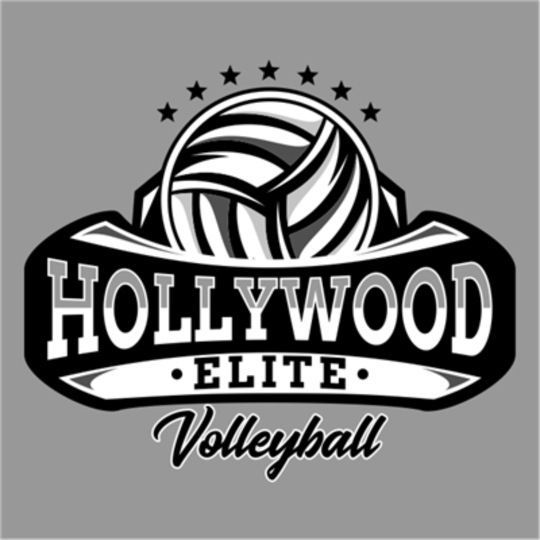 Hollywood Elite Volleyball 2023 logo