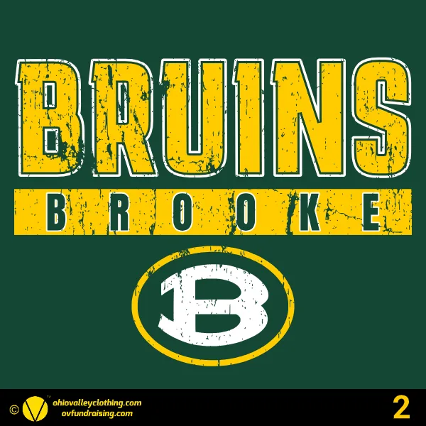 Wellsburg Youth Baseball 2025 Design 02