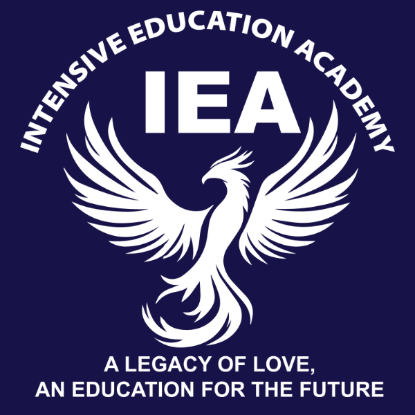 Intensive Education Academy 2025 logo