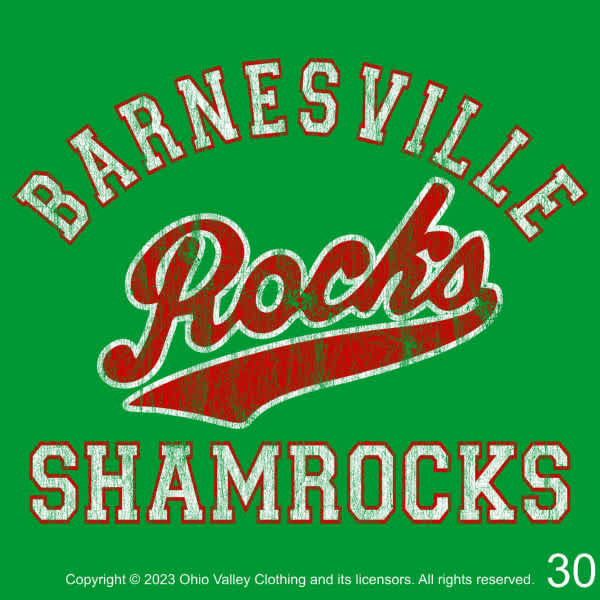 Barnesville Cheerleaders 2023 Fundraising Sample Designs Barnesville Cheerleaders 2023 Fundraising Sample Design Page 30