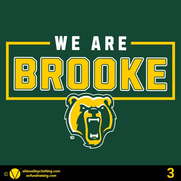 Wellsburg Youth Baseball 2025 Design 03