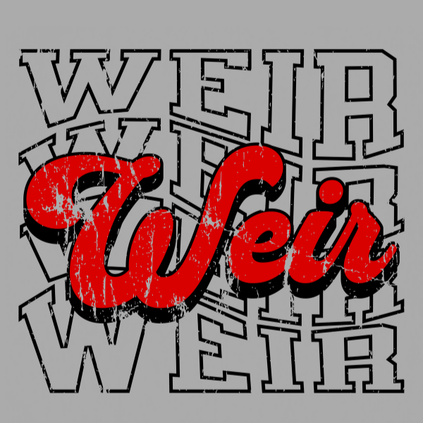 Weirton Elementary 2025 logo