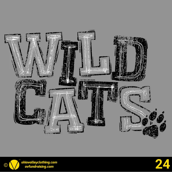 Edison High School Cheer 2024 Design 24