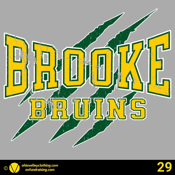 Brooke Bruin Youth Football & Cheer 2025 Design 29