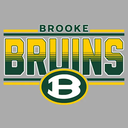 Wellsburg Youth Baseball Fall 2025