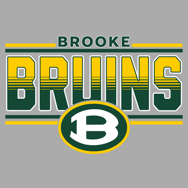 Wellsburg Youth Baseball Fall 2025 logo