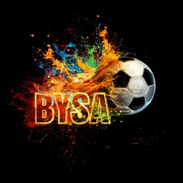 Beaver Youth Soccer Association 2024 logo