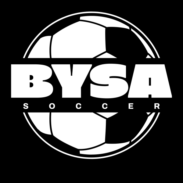 BYSA 2025 logo