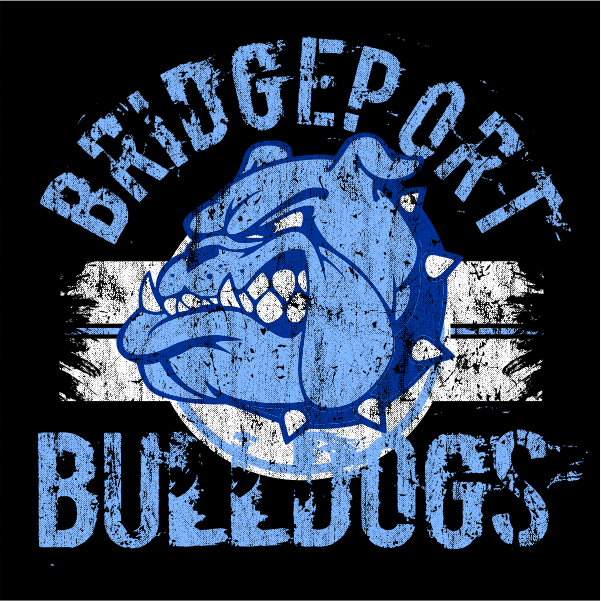 Bridgeport High School Alumni Association 2023 logo