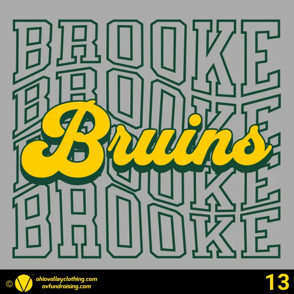 Wellsburg Youth Baseball 2025 Design 13