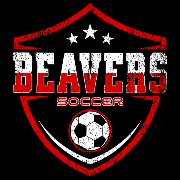 Beaver Local Boys Soccer 2024 logo
