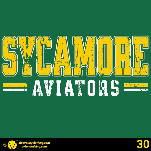 AVES Art K-12 at Sycamore Schools 2026 Design 30