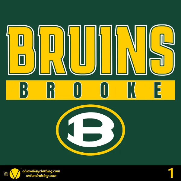 Wellsburg Youth Baseball 2025 Design 01