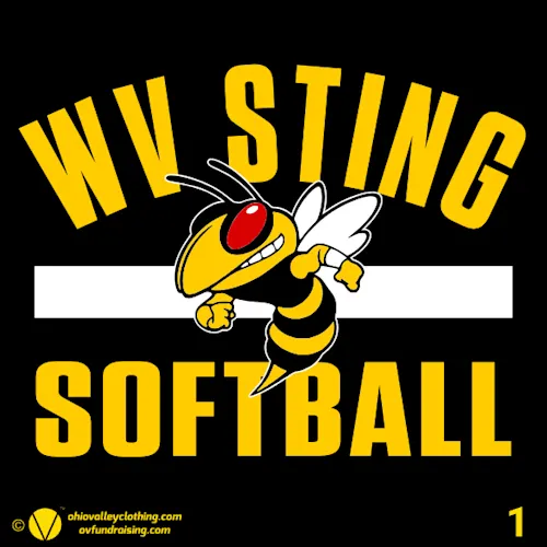 WV Sting 12U 2026 Fundraising Sample Designs
