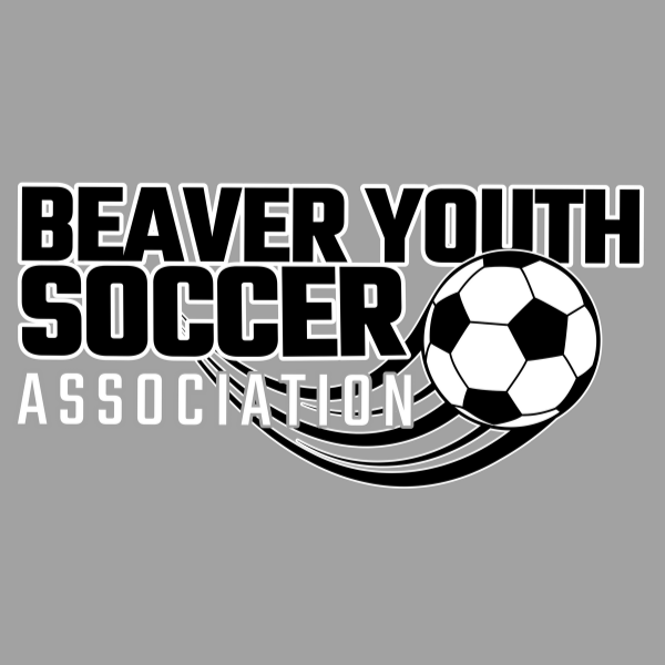 Beaver Youth Soccer Association Fall 2024 logo