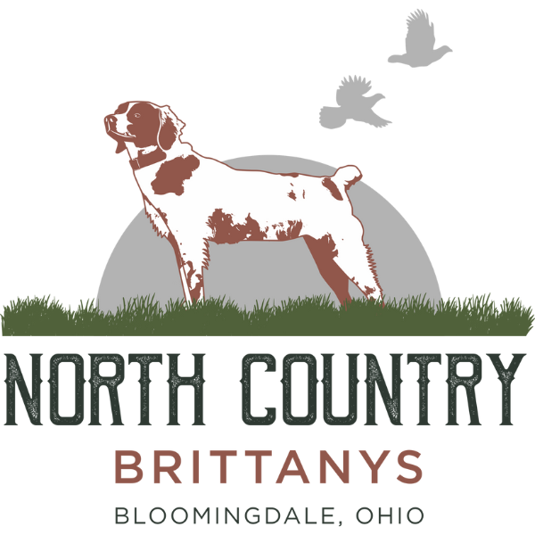 North Country Brittany’s 2024 logo