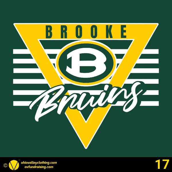 Wellsburg Youth Baseball 2025 Design 17