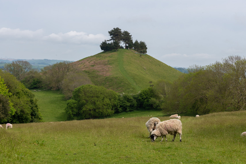 Symondsbury Estate, Bridport