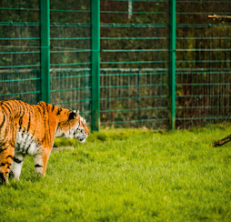 Blackpool Zoo