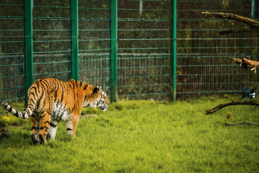 Blackpool Zoo