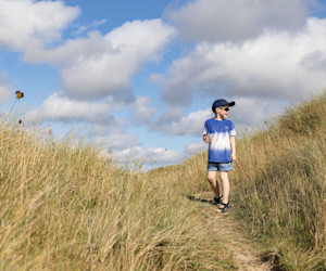 Walking through the dune nature reserve