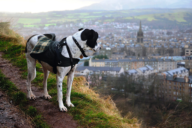 14 things to do in Edinburgh, Scotland | Haven