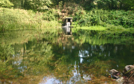 Tehidy Country Park in West Cornwall.