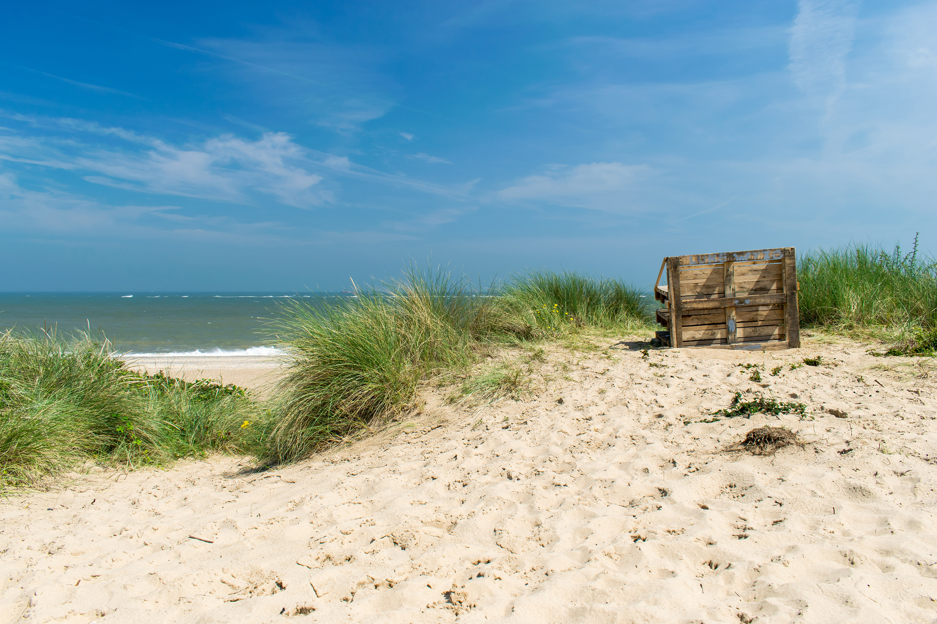 is gorleston beach dog friendly