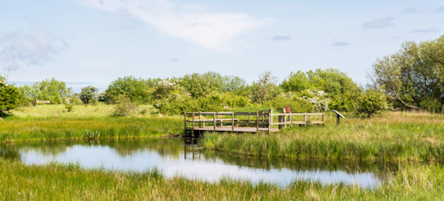 9. Saltfleetby-Theddlethorpe Dunes Nature Reserve