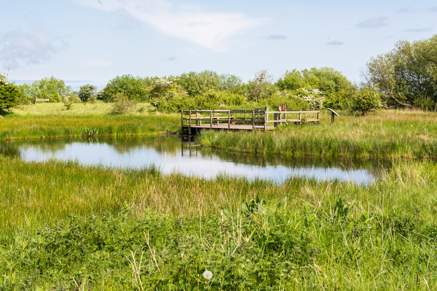 9. Saltfleetby-Theddlethorpe Dunes Nature Reserve