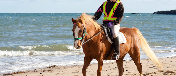 9. Gallop along the sands