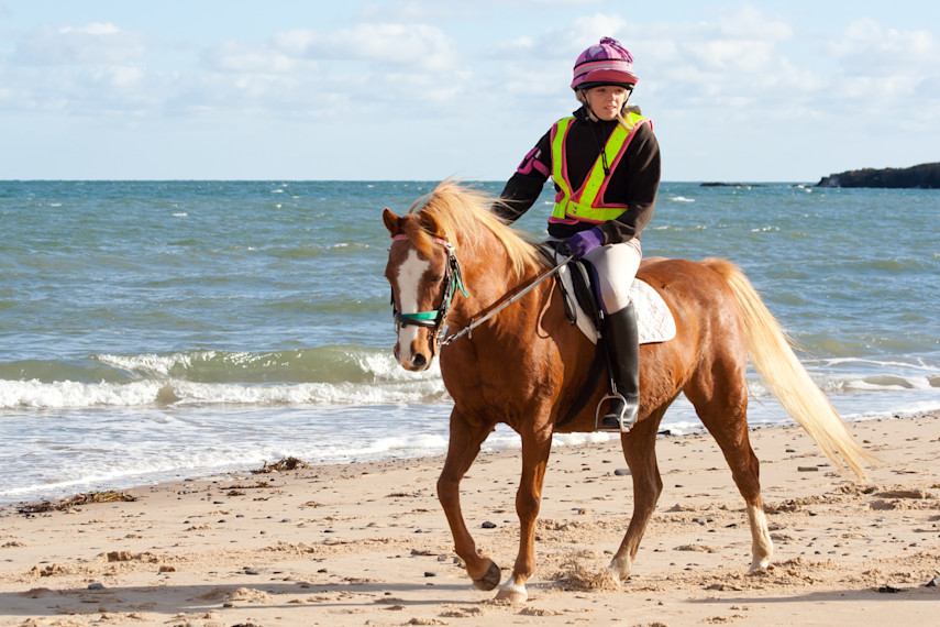 9. Gallop along the sands